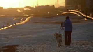 Ученые отметили улучшение состояния растительности и почв на территориях Норильского промрайона Красноярского края Ученые отметили улучшение состояния растительности и почв на территориях Норильского промрайона Красноярского края