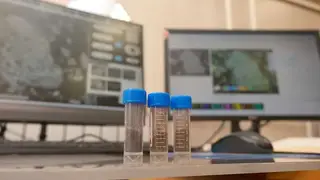 Красноярские ученые нашли способ очищать промышленные стоки от алюминия с помощью мела Красноярские ученые нашли способ очищать промышленные стоки от алюминия с помощью мела