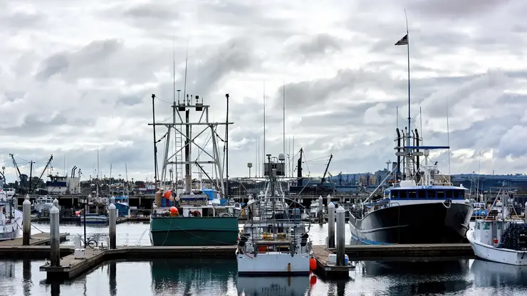 Морской совет при губернаторе создан в Красноярском крае