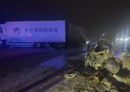 В Манском районе Красноярского края произошло смертельное ДТП