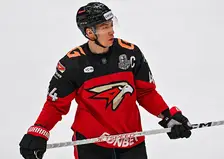 Капитан омского «Авангарда» Дамир Шарипзянов вошёл в тройку лучших игроков КХЛ