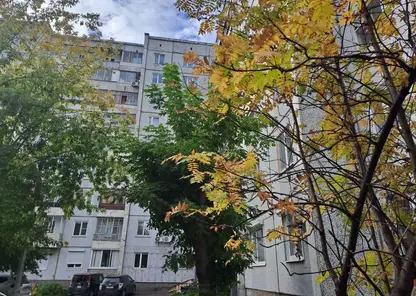 14 октября красноярцев ждет похолодание до -8