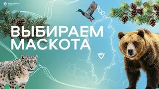 Красноярский аэропорт выбирает маскота: голосование уже открыто Красноярский аэропорт выбирает маскота: голосование уже открыто