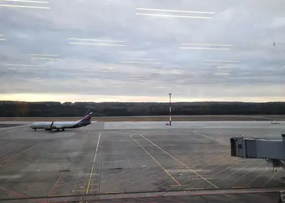 Лайнер, летевший из Омска в Новосибирск, столкнулся с птицей