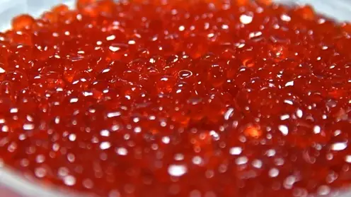 Более 115 килограммов незаконной икры изъяли в камчатском аэропорту Елизово