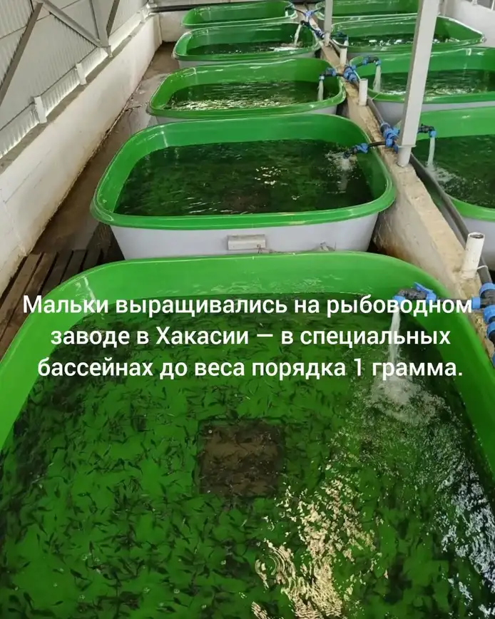 Фото: ГК «СтройИнновация»