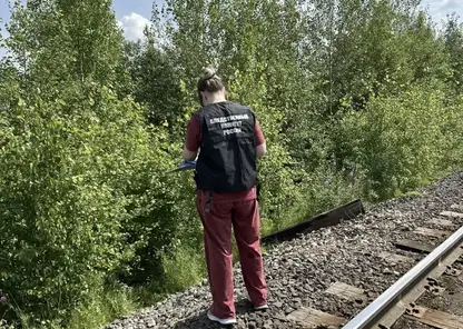 Пятилетнюю девочку, пропавшую с матерью в Красноярском крае, нашли мёртвой