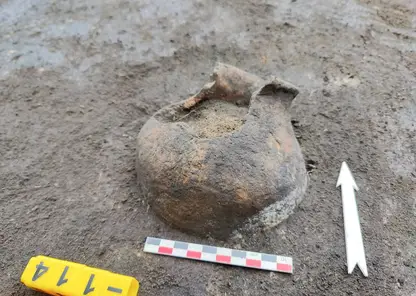 В Омской области завершилась археологическая экспедиция по курганам саргатской культуры