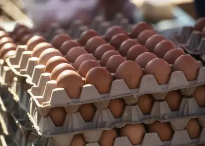 Антимонопольщики запретили сибирским ритейлерам повышать цены на продукты перед Новым годом