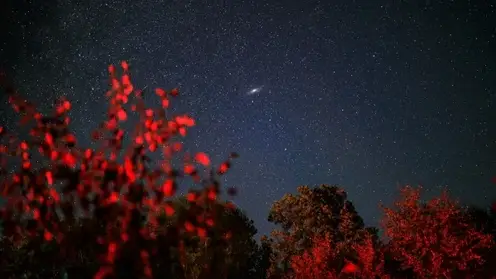 Гороскоп на 11 июля