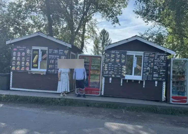 Подросток подозревается в ограблении ларьков на острове Татышев в Красноярске