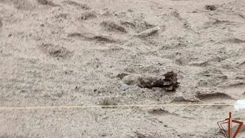 Боеприпас времен Великой Отечественной войны обнаружили и обезвредили в Новосибирске