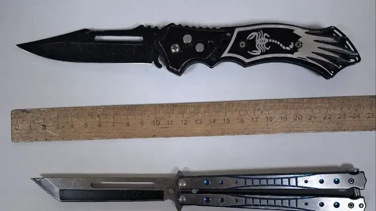 В Забайкалье подросток пытался пронести два ножа в суд