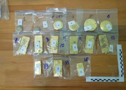 На Дальнем Востоке сорвана попытка вывоза драгоценных металлов на 47 млн рублей