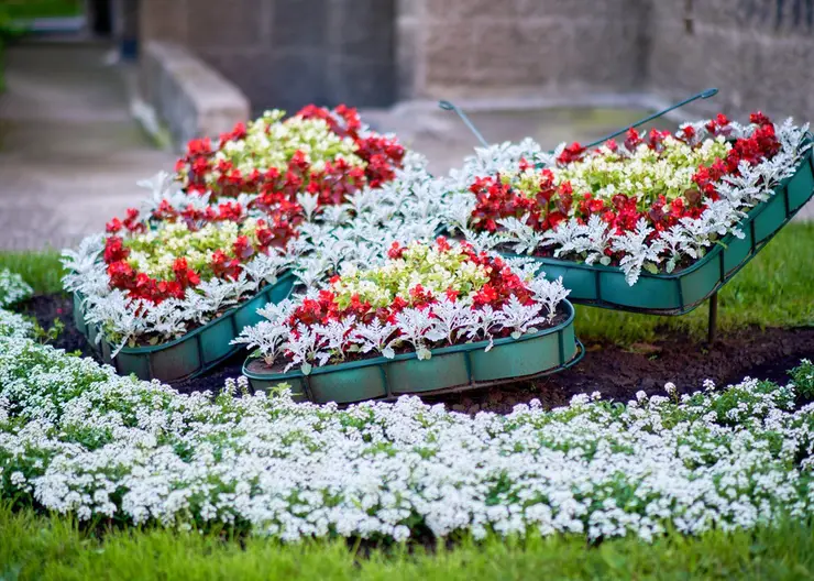 В Советском районе Красноярска подвели итоги конкурса «Самый благоустроенный район»