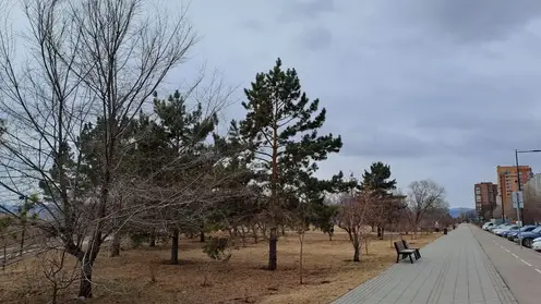 До +15 потеплеет в Красноярске в воскресенье, 5 апреля