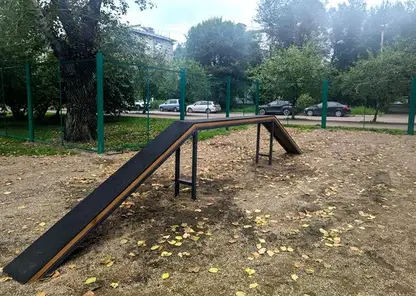 Четыре обустроенные площадки для выгула собак появятся в 2026 году в Советском районе Красноярска