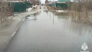 Число подтопленных дачных участков в Томской области увеличилось на 20 с утра 16 апреля