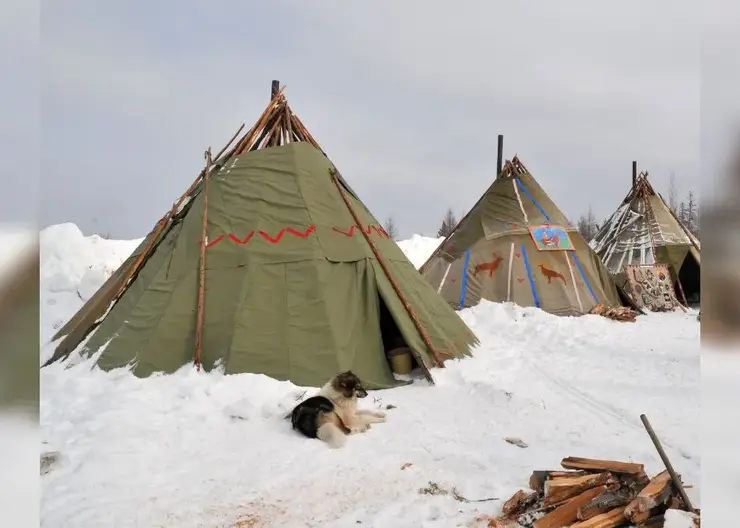 В Красноярском крае северяне смогут обучиться редкой профессии в 2026 году
