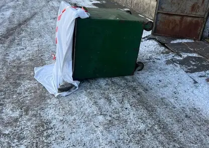 Школьница в Красноярске родила дома и выбросила ребенка в мусоропровод