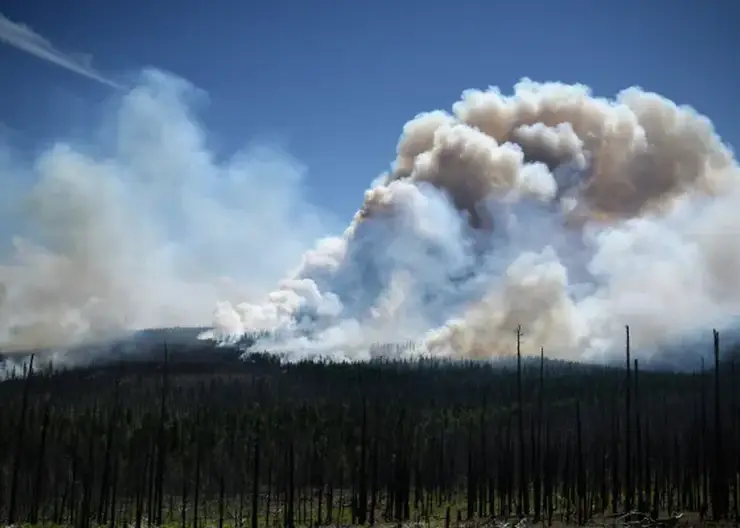 Площадь лесных пожаров в Бурятии выросла почти вдвое за сутки