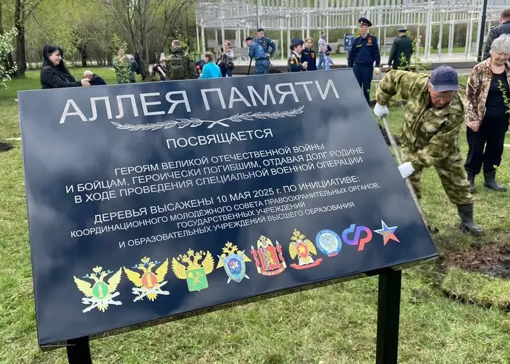 На берегу озеро-парка «Октябрьский» появилась Аллея Памяти — высажены десятки деревьев