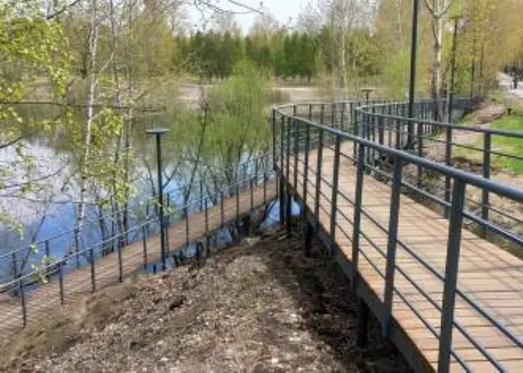 Красноярск усилил борьбу с клещами