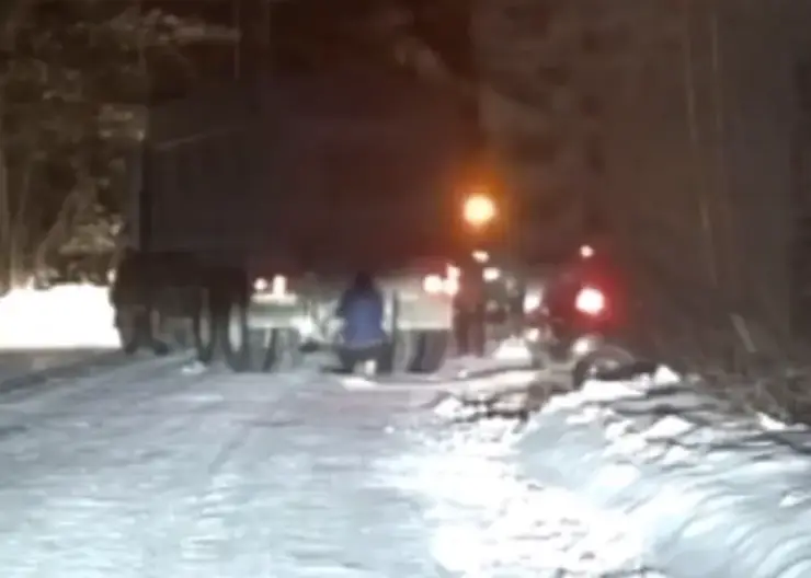 В Назаровском районе семье с младенцем помогли вытащить машину из сугроба