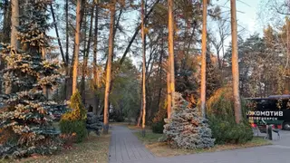 Космомольский парк имени Веры Волошиной в Кемерове ждет реновация