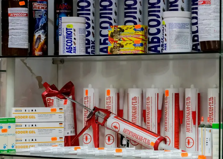 Доверьте борьбу с вредителями профессионалам Ros-Prof-Dez