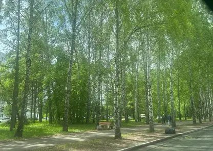 В Красноярск придёт жара: в среду, 24 июня воздух прогреется до +30°