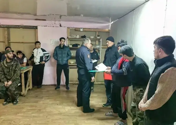 Шестерых мигрантов выдворят из России после рейда на красноярской лесопилке