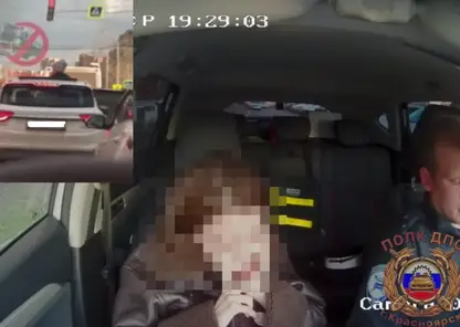 В Красноярске мать привлекли к ответственности: 10-летний ребёнок выглянул из люка автомобиля