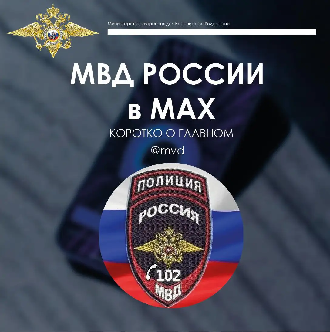 Фото: Telegram-канал «Ирина Волк»