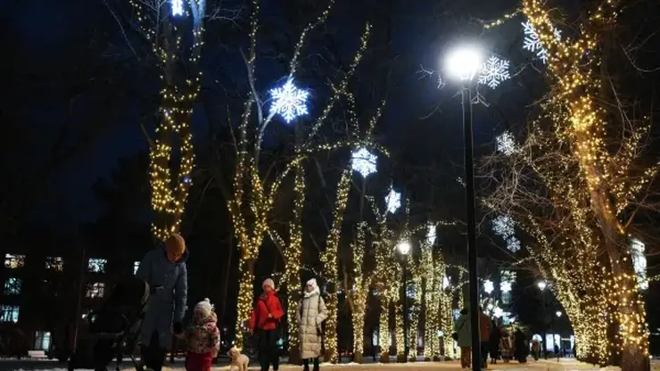 Мэрия Новосибирска назвала концепцию и стиль празднования Нового 2026 года в городе