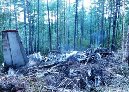 «Проверь высоту. Низко земля. Низко земл…»: МАК раскрыл последние секунды экипажа разбившегося под Тындой Ан-24