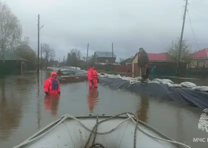 В Омской области остаются затопленными 493 жилых дома