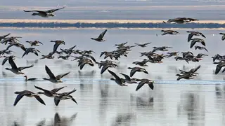 «Роснефть» сохраняет наследие Севера: в Эвенкии поддержат просветительские и этнографические проекты