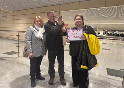 Кота, потерявшегося в поезде под Казанью, нашли через шесть дней в Амурской области