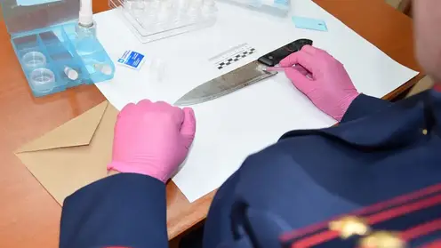 В Хабаровском крае женщина пыталась зарезать сожителя в новогодние праздники