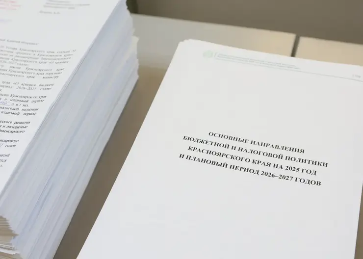 Законодательное Собрание края получило годовой отчёт об исполнении бюджета