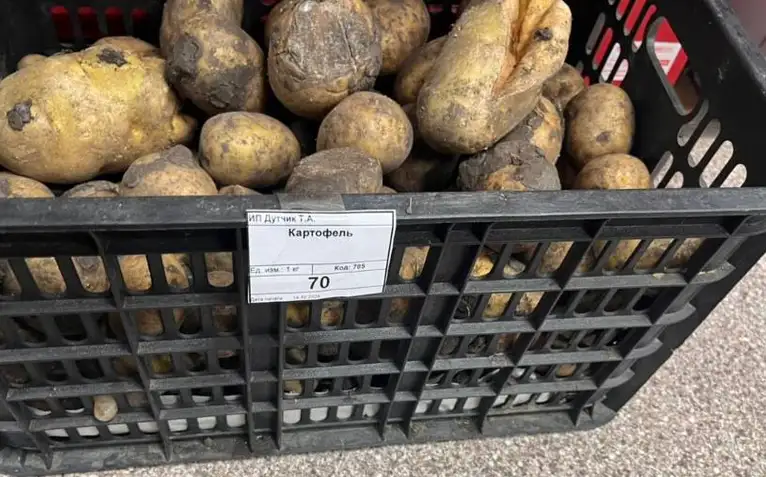 Фото: Прокуратура Красноярского края