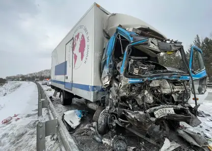 Водитель выехал на встречку и устроил смертельное ДТП в крае