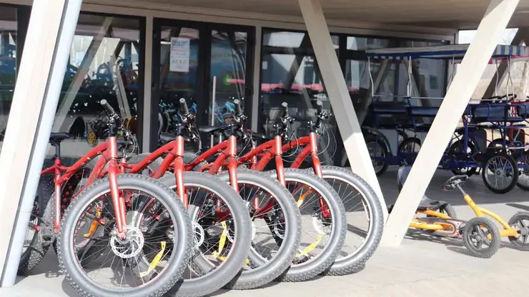 Прокат велосипедов и роликов открылся в Красноярске на Татышеве