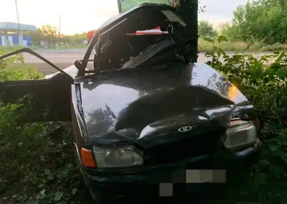 В Ачинске погиб водитель, он улетел в кювет и врезался в дерево