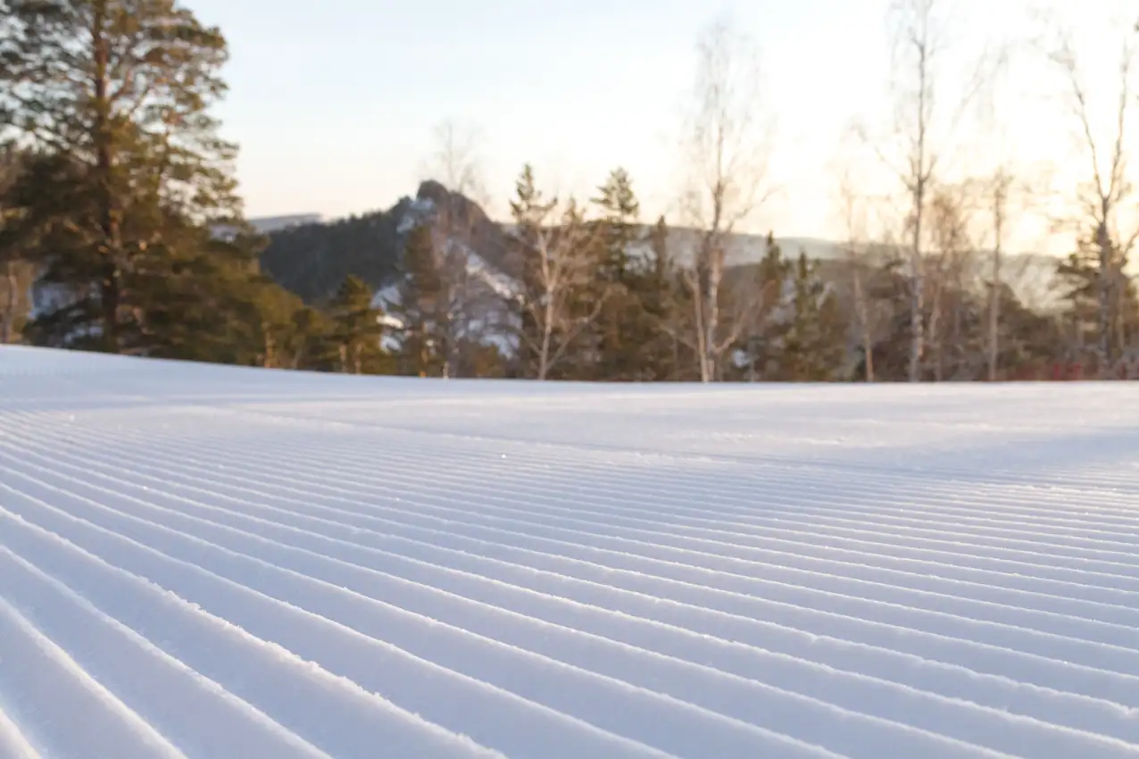 Фото: Фанпарк «Бобровый лог"