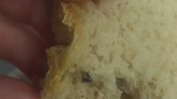 Красноярский супермаркет на правобережье продаёт хлеб с тараканами