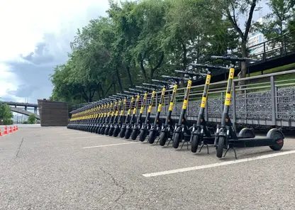 Красноярцы предложили ввести «права» на электросамокаты и разделение потоков движения