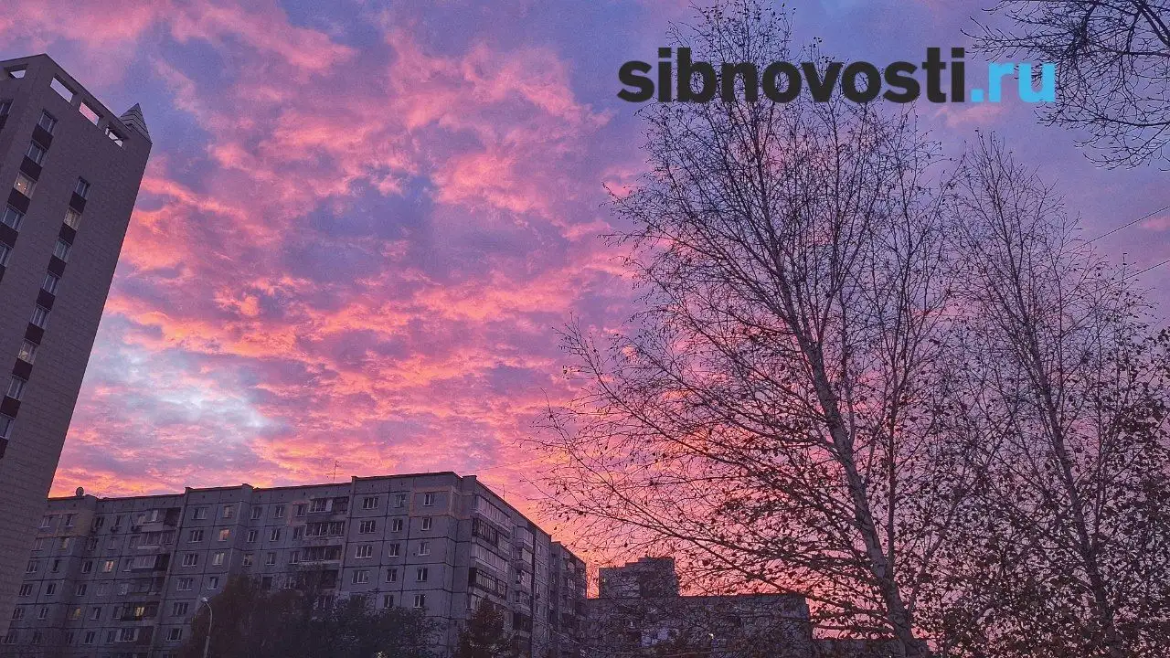 Фото: sibnovosti.ru