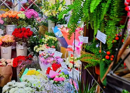 Новосибирские педагоги рассказали о самых неожиданных подарках на День учителя